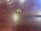 HN047 SHELL NECKLACE