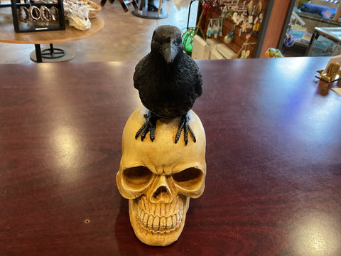 CN-461 Resin Crow on Skull