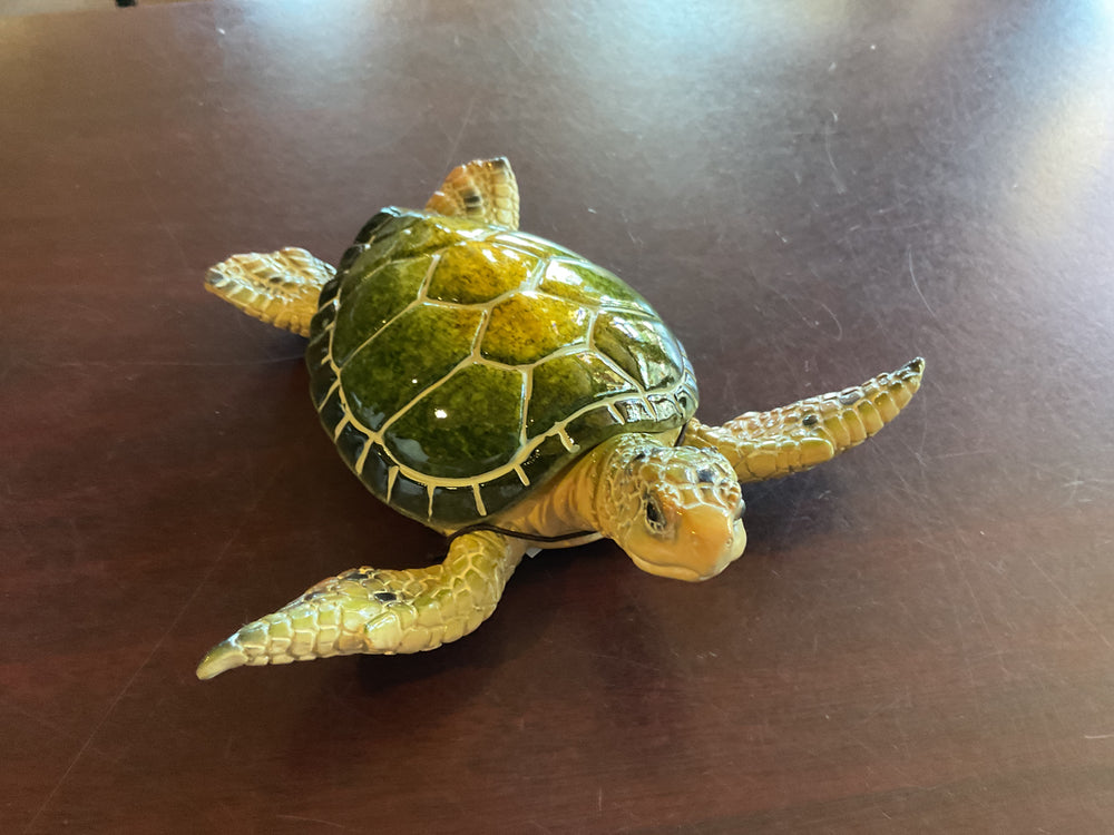 MR-199 Sea Turtle Box