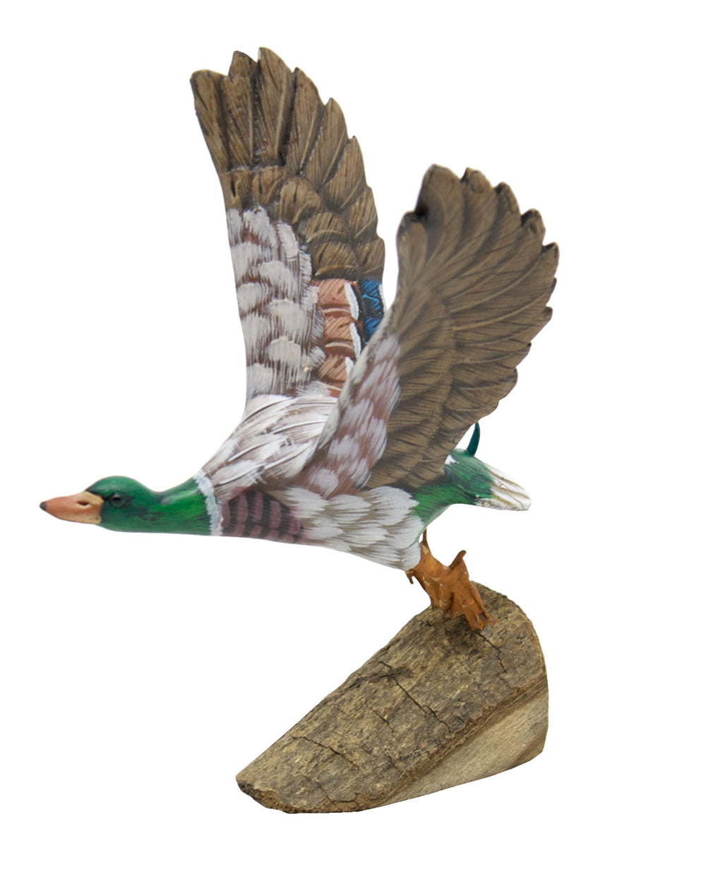 Mallard