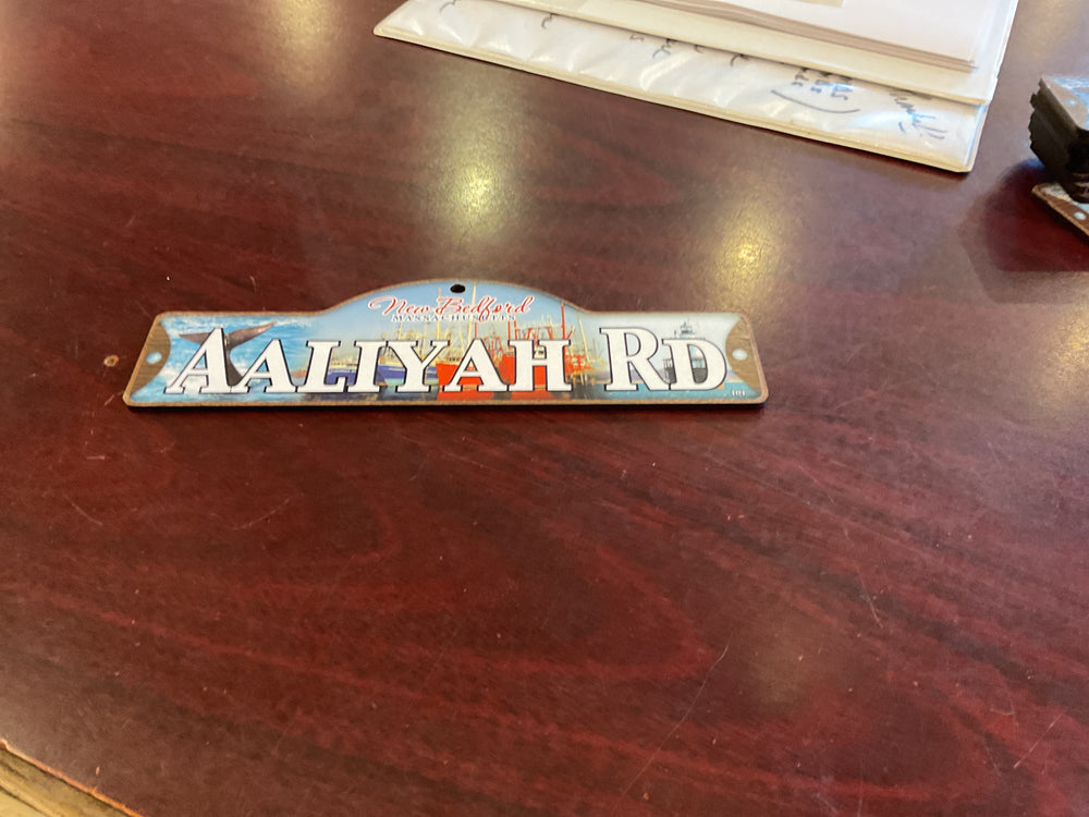 WSS101 AALIYAH NB PLATE