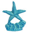 Star Fish