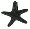 Starfish Door Knocker