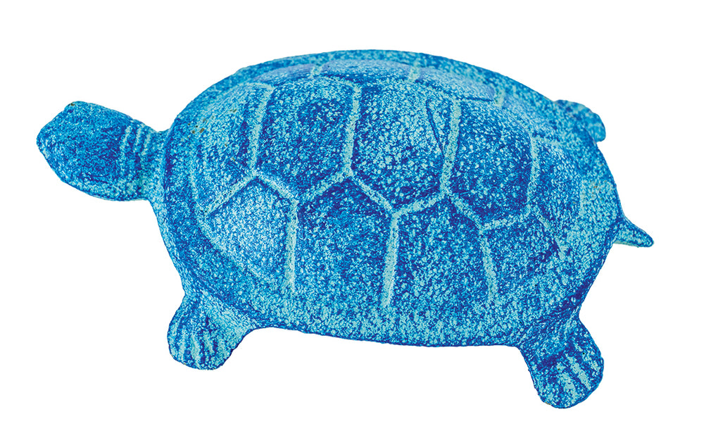 Turtles (Beach Blue) (Pkg. 6)