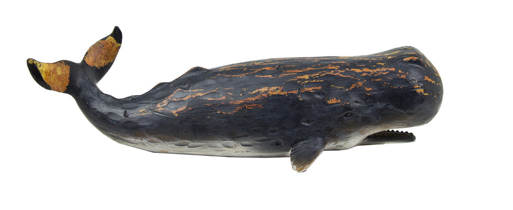 Whale Black W Brown