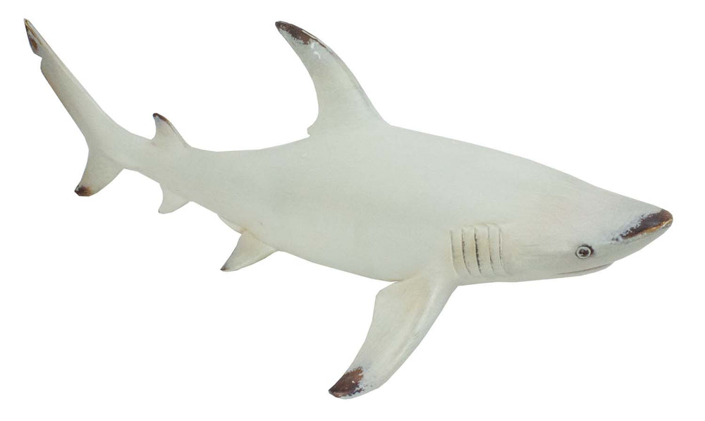 Tubarão