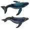 Humpback Whale