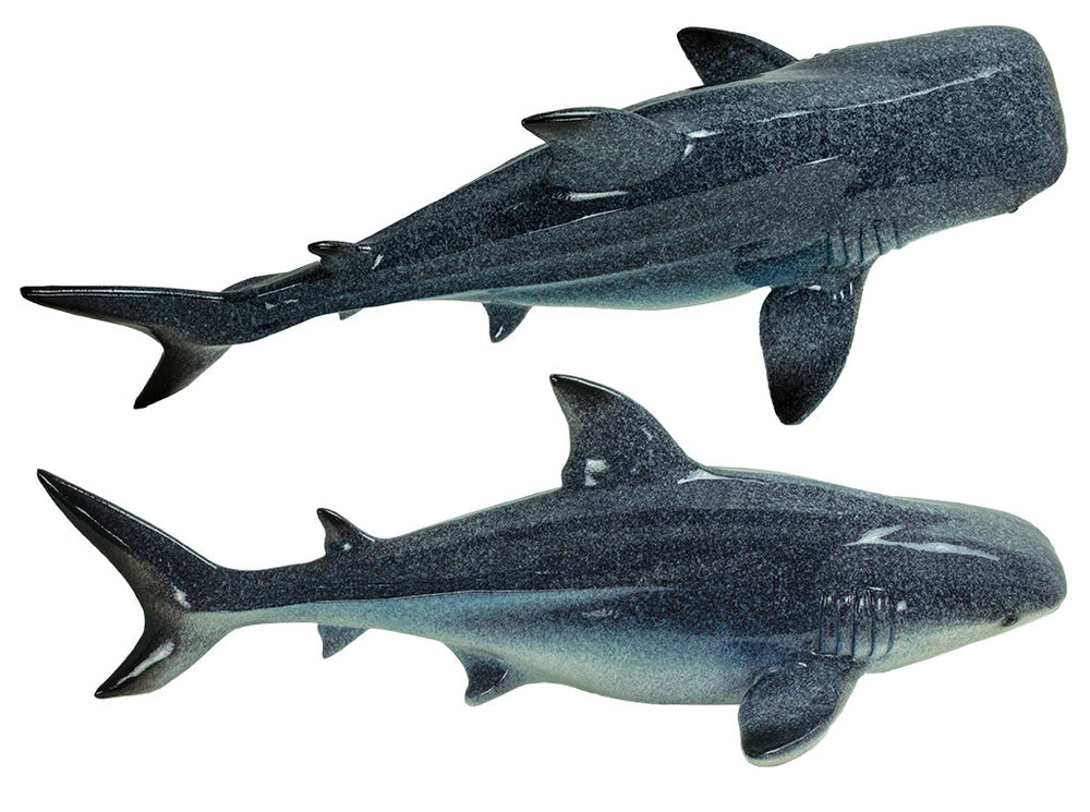 Shark - Table Top