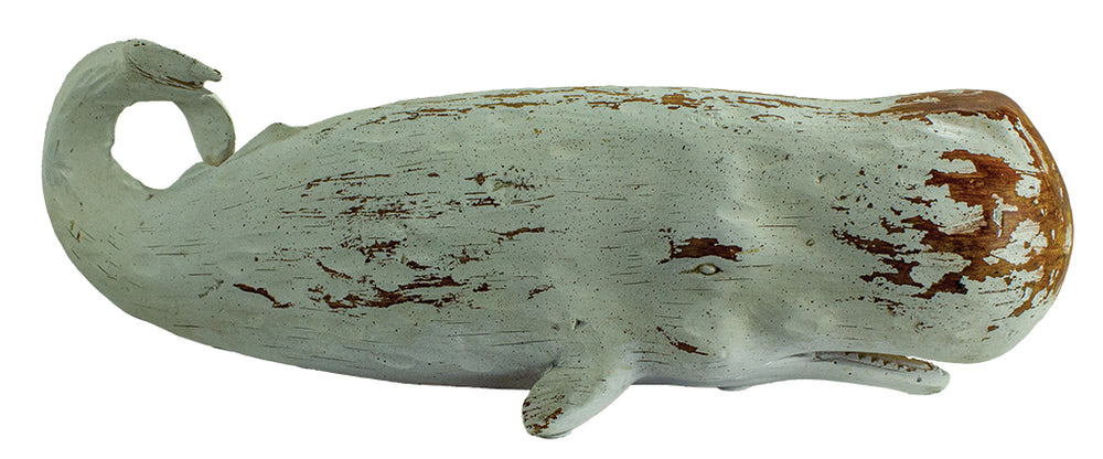 Large White Whale