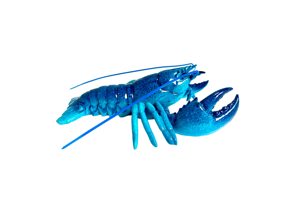 MR-250 Lobster blue