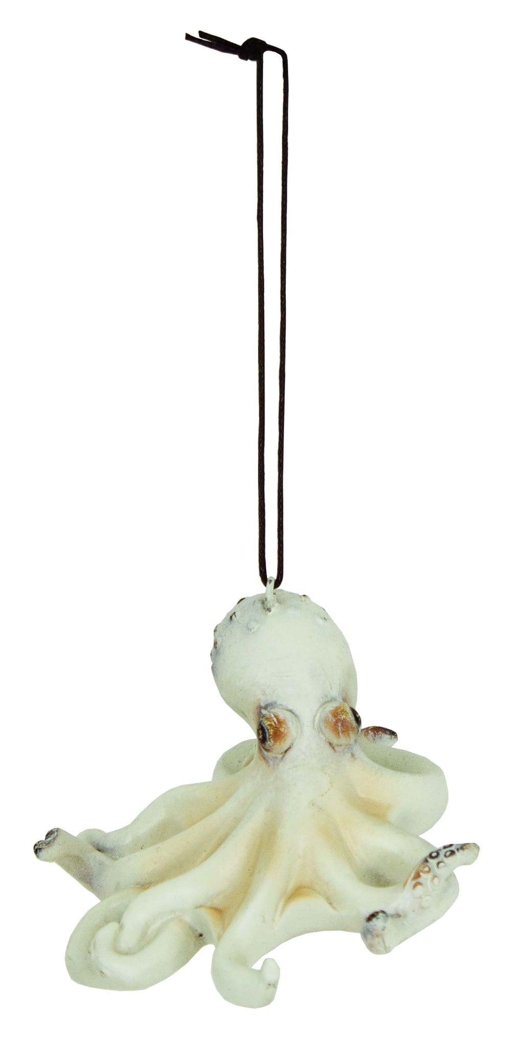 Ornamento de Polvo