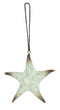 Starfish Ornament