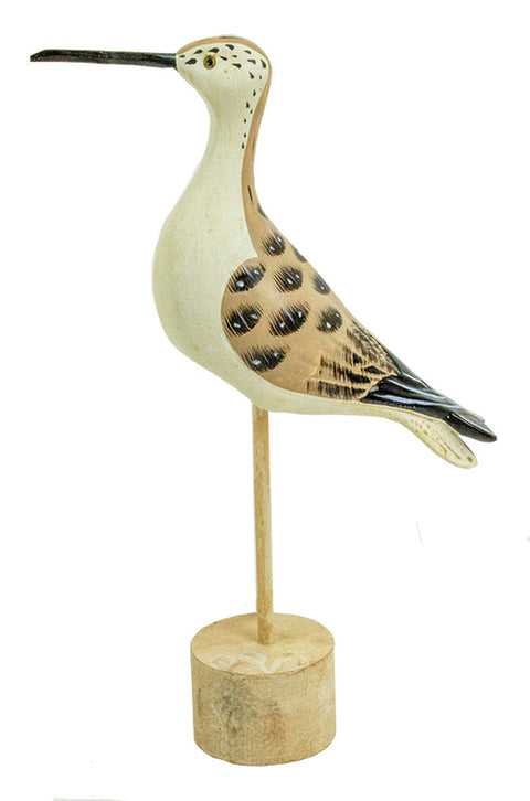 Shorebird