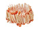 Coral shell bracelet