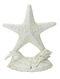 White Starfish Doorstop