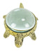 Turtle Magnifier