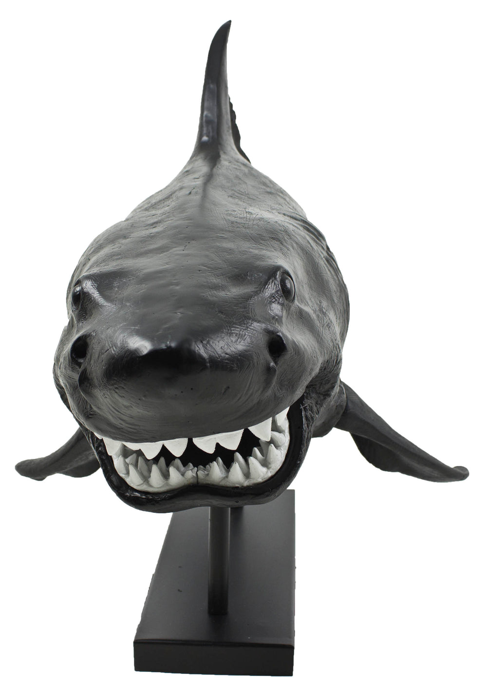 Shark Resin
