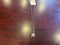 SN35044-001 STERLING STARFISH NECKLACE