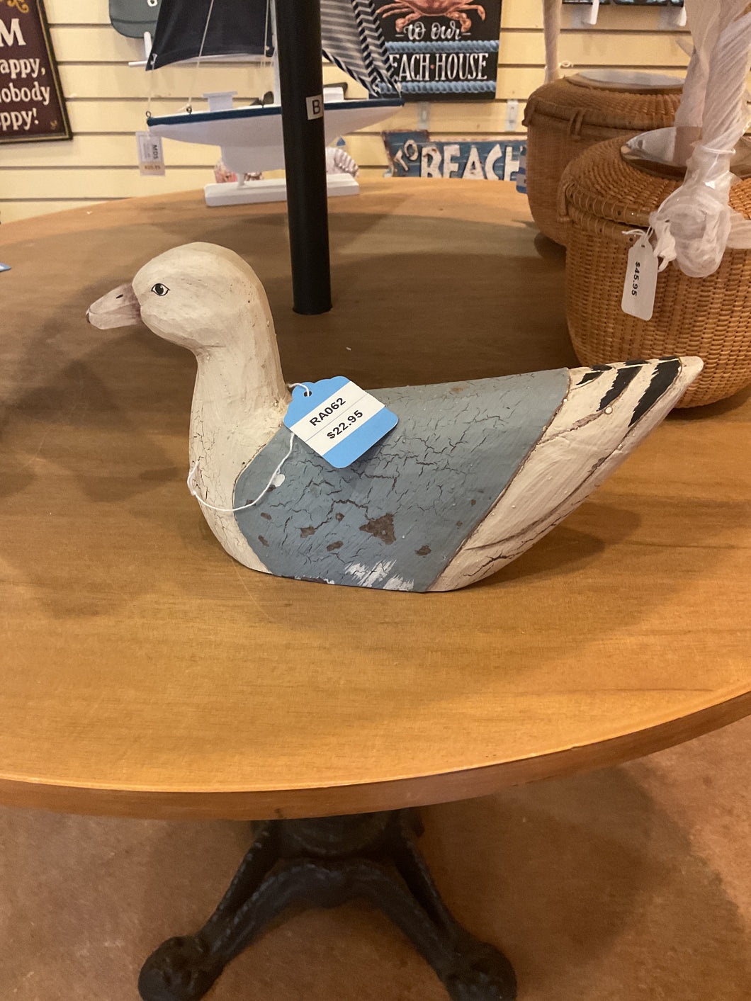 Pigeon