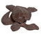 Turtle Key Box