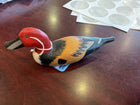 Pintail Drake -