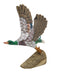 Mallard