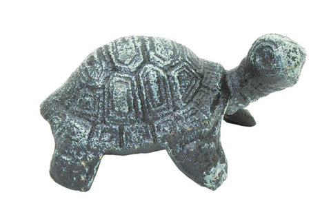 Turtle - Verdigris