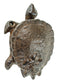 Turtle Door Knocker