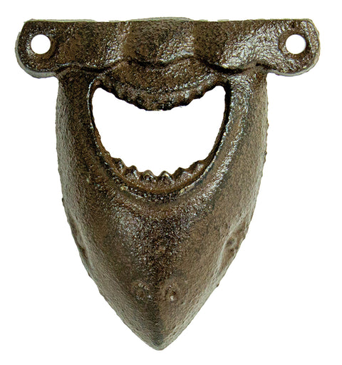 Shark Teeth
