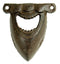 Shark Teeth