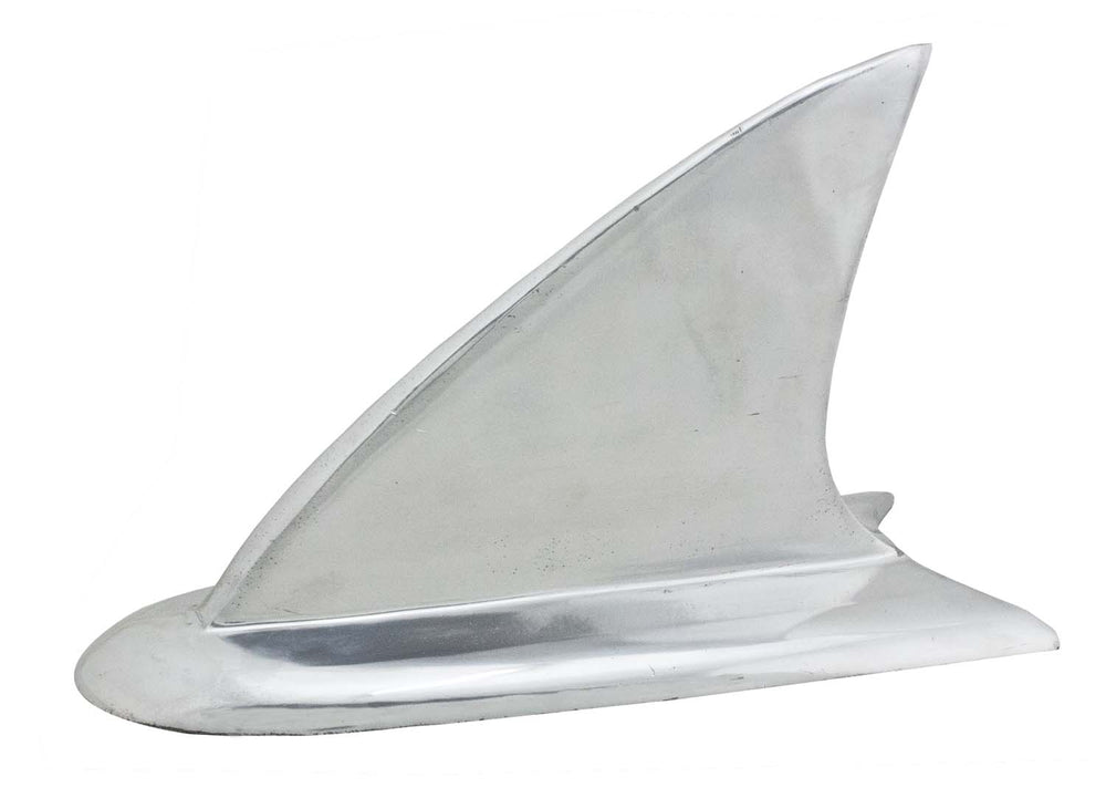 Large Whale Tail