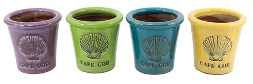 Vieira de Cape Cod