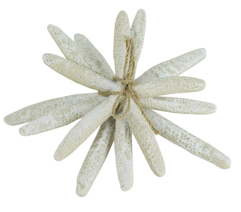 Finger Starfish
