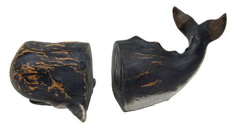 Sperm Whale Bookends