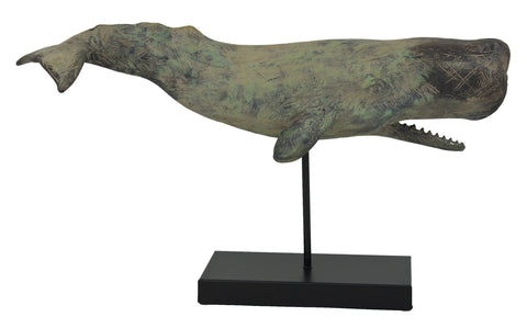 Sperm Whale On Stand
