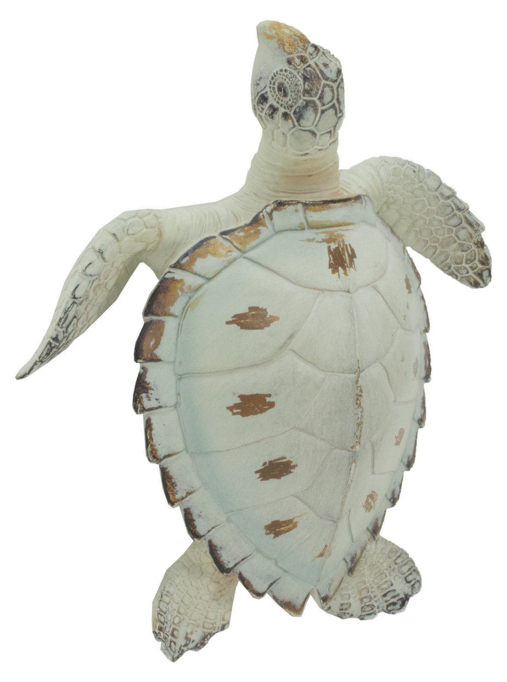 Sea Turtle