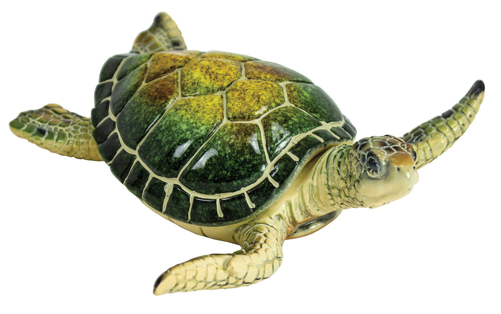 MR-199 Sea Turtle Box