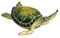 MR-199 Sea Turtle Box