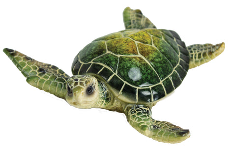 Sea Turtle Green