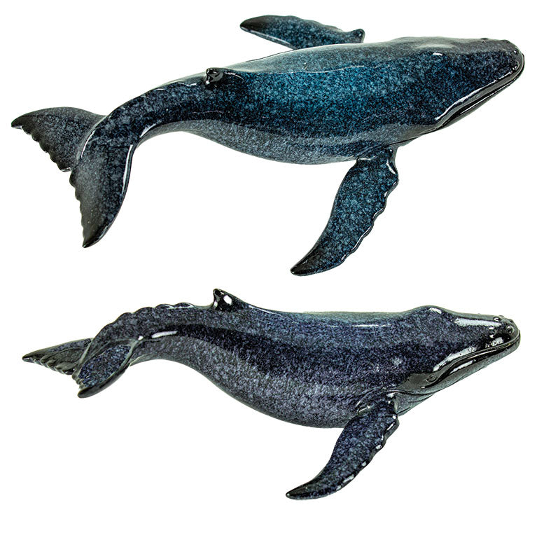 Humpback Whale