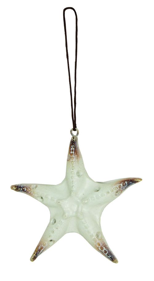 Ornamento de Estrela-do-mar