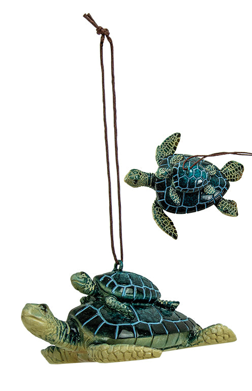 Mãe & Tartaruga Bebé