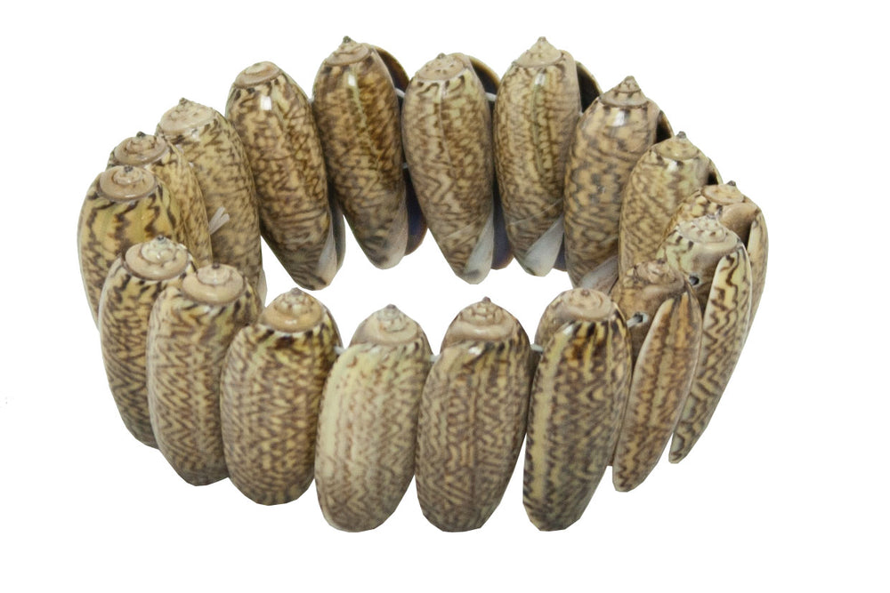 Shell Bracelet