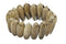 Shell Bracelet