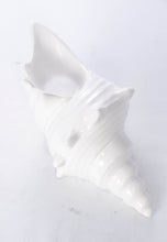 Load image into Gallery viewer, Shell Candle Holder
