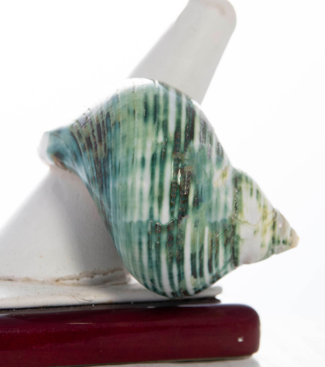 Green Turbo Seashell Ring
