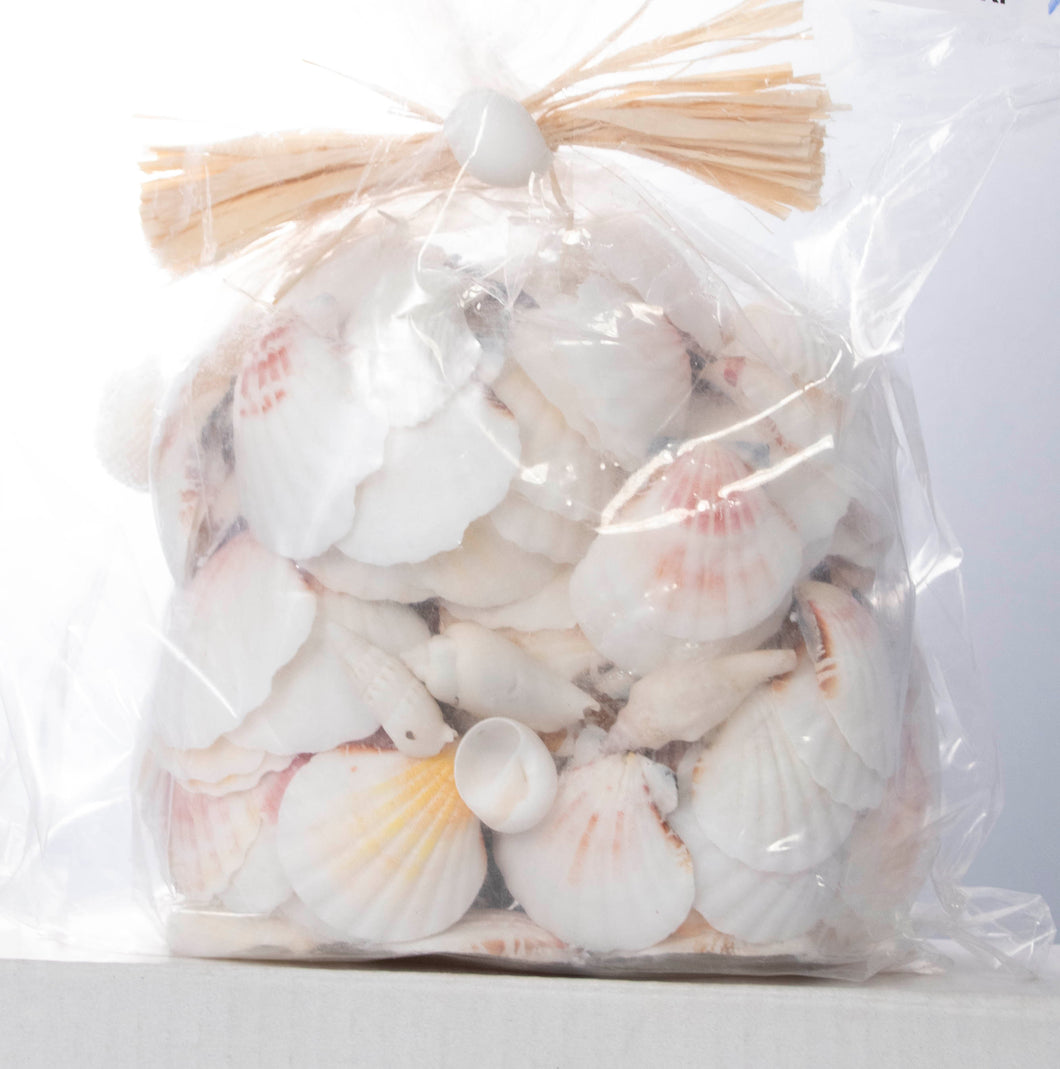 Bag of Mixed White Shells