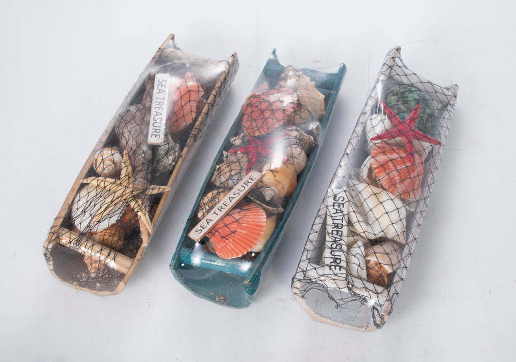 Tray of Mixed Seashells