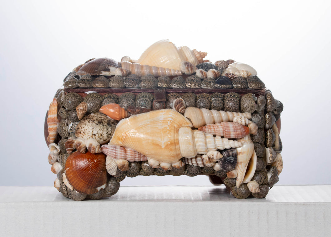 Shell Box