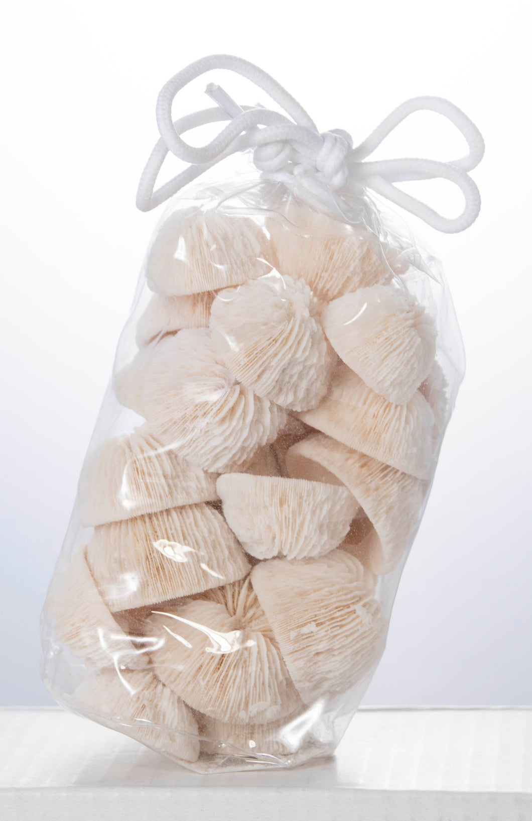 Mushroom Coral Shells